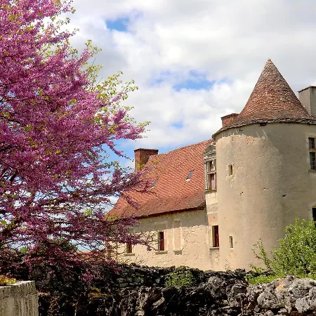 Chateau De Couanac Holiday home