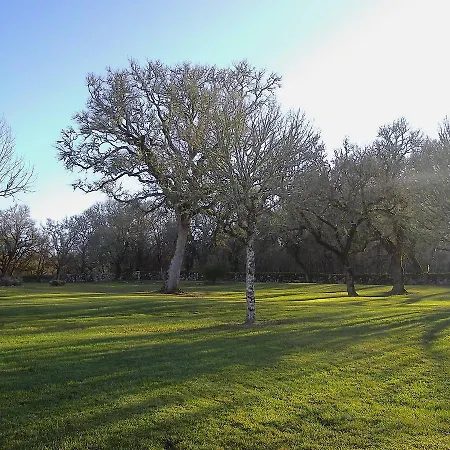 Chateau De Couanac Holiday home