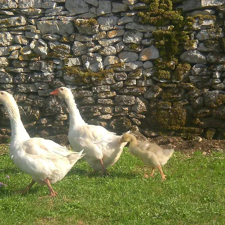 Chateau De Couanac *