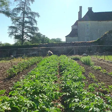 Chateau De Couanac Holiday home
